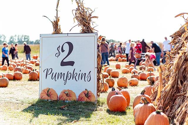 $2 Pumpkins at Keil's Produce and Greenhouse in Swanton